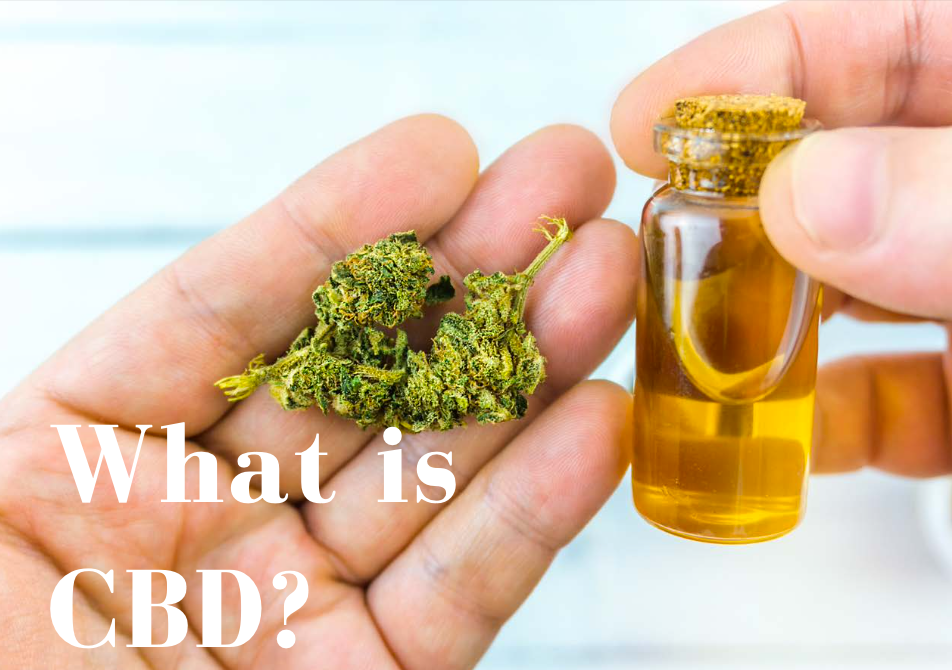 CBD Isolate Oil & Multiple Sclerosis